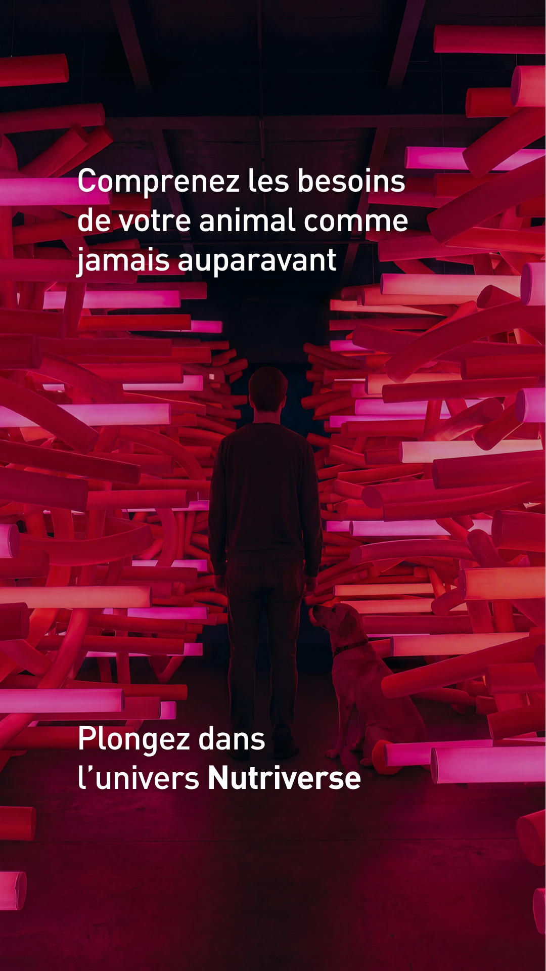 Royal Canin Facebook ad: Réservez dès maintenant une expérience immersive gratuite…