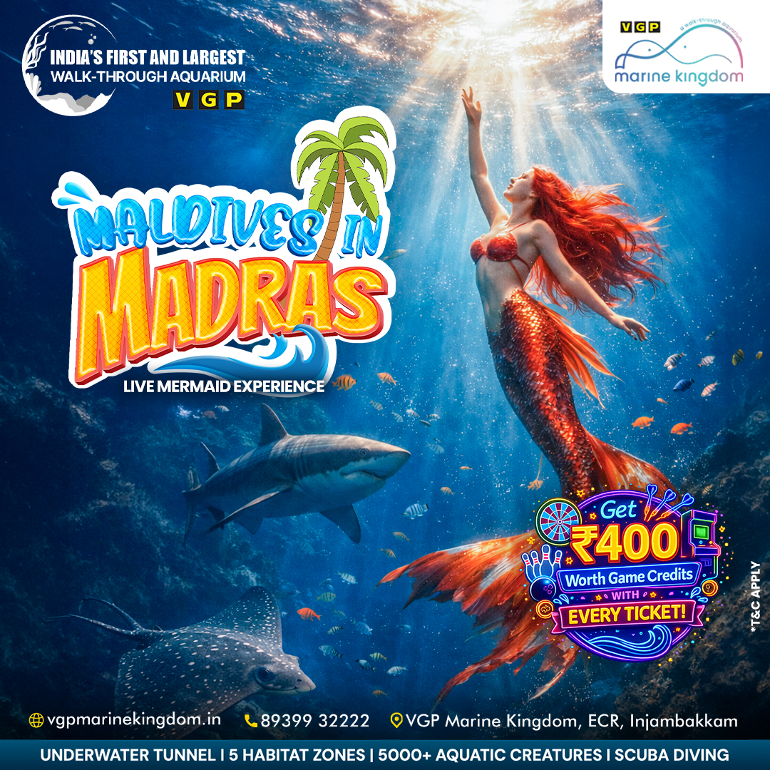 VGP Marine Kingdom Facebook ad