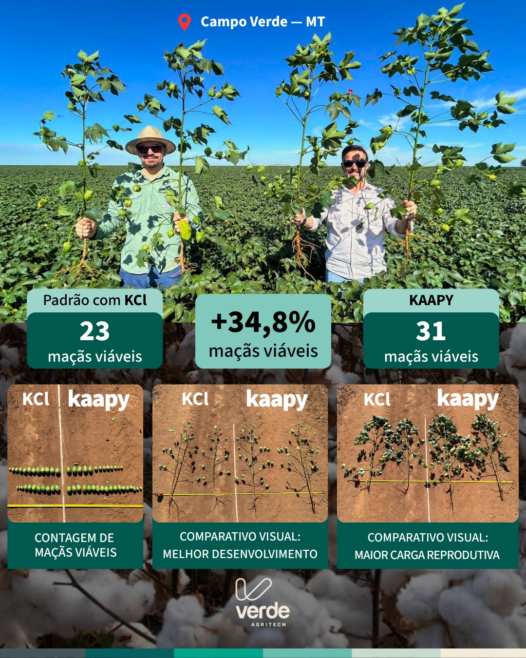 Verde Agritech Facebook ad: Aos 140 DAP do algodão em Campo Verde…