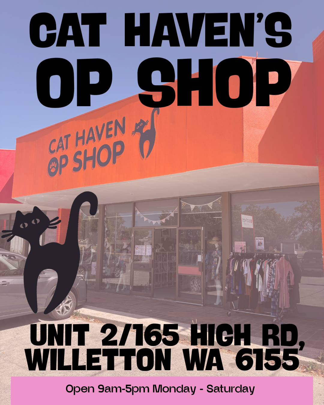Cat Haven WA Facebook ad: Cat Haven: Cat and kittens for sale - Adoption, Foster…