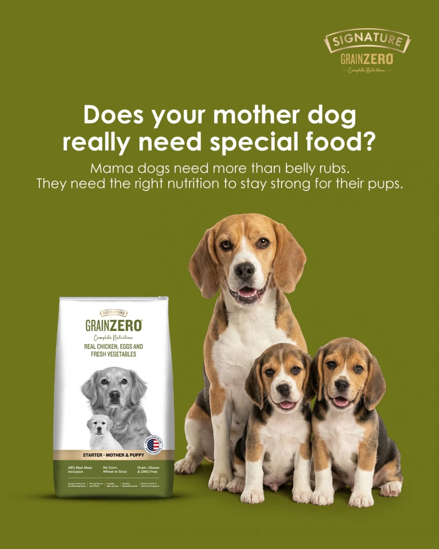Signature Pet Foods Facebook ad: Motherhood is hard work; feeding her shouldn’t be!