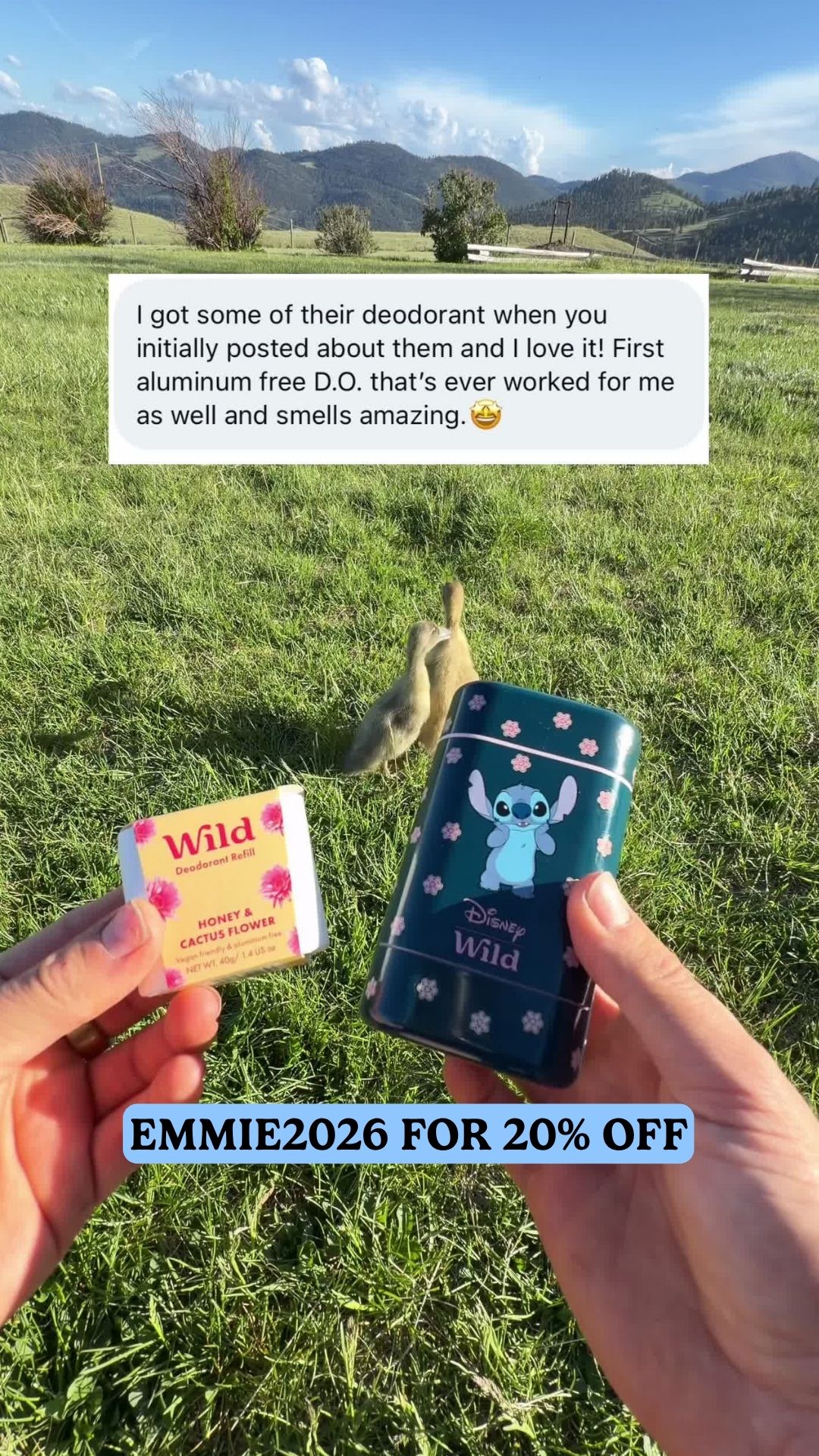 Wild Facebook ad: Switch to Wild & save 20% today!
