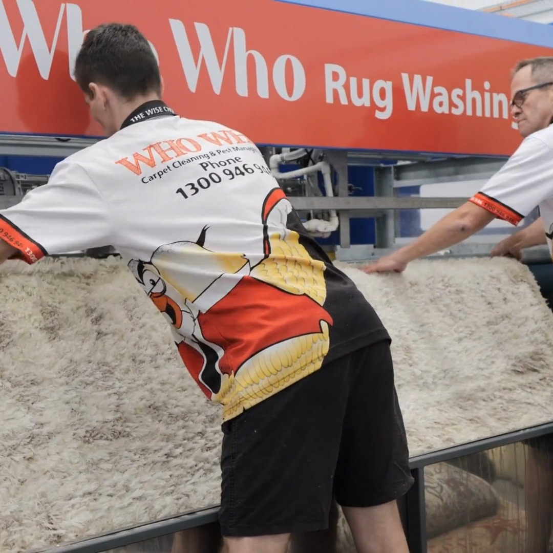 Who Who Carpet Cleaning & Pest Management Facebook ad