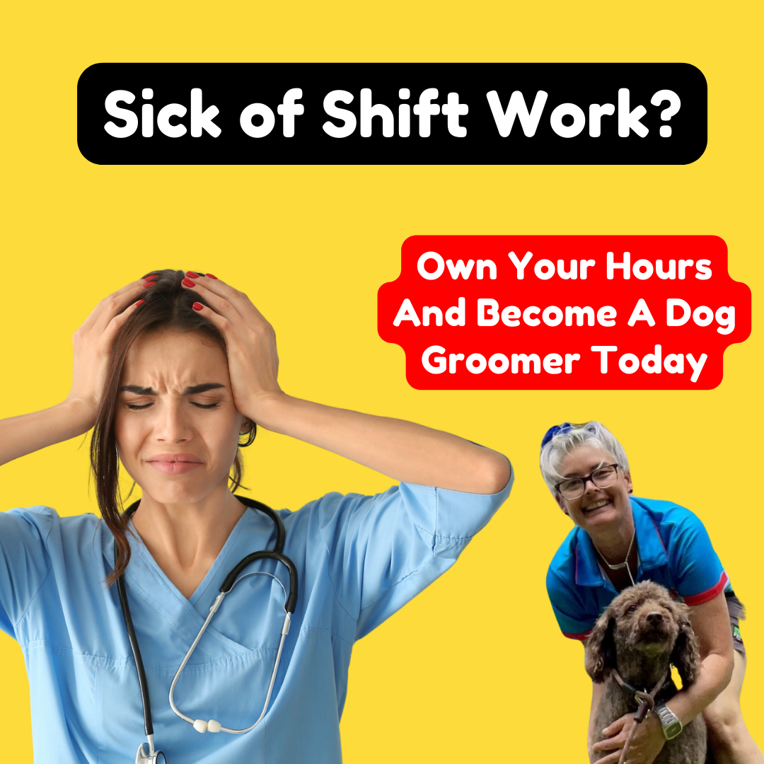 Dash DogWash Facebook ad