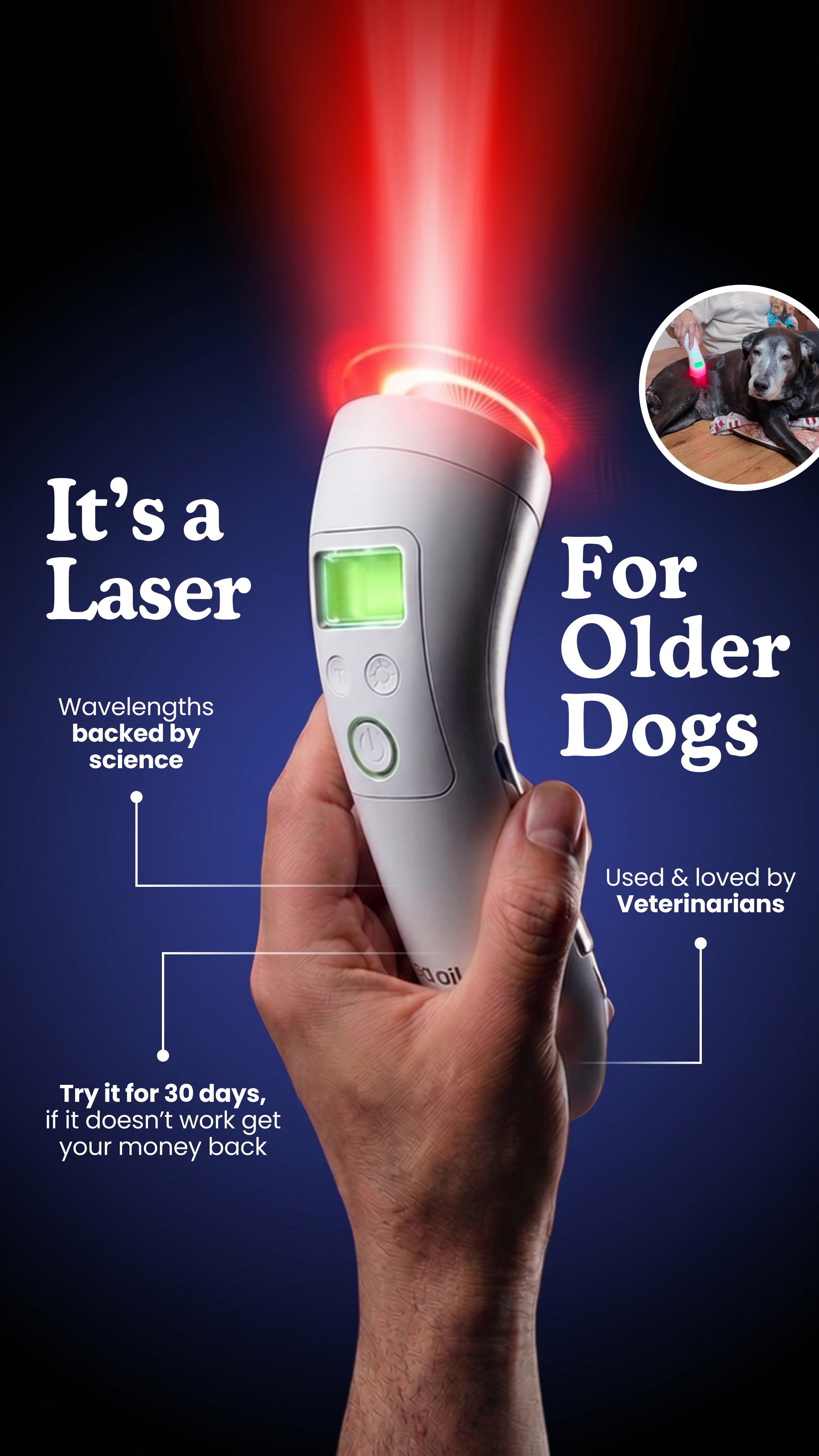 Helio Pet Facebook ad
