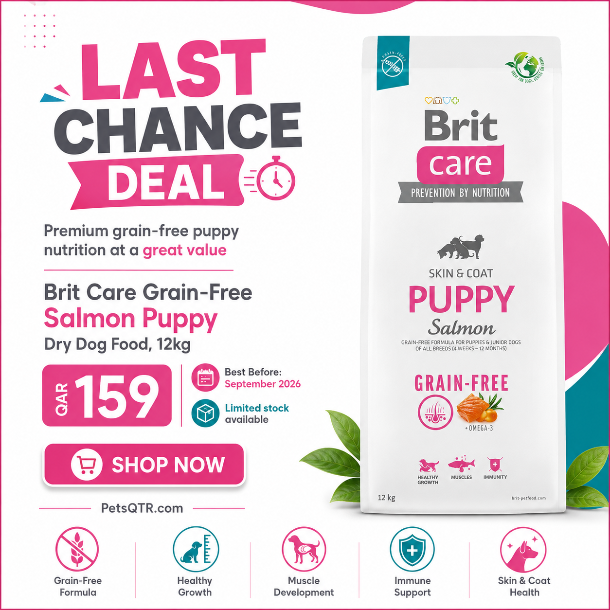 Pets Qatar Facebook ad