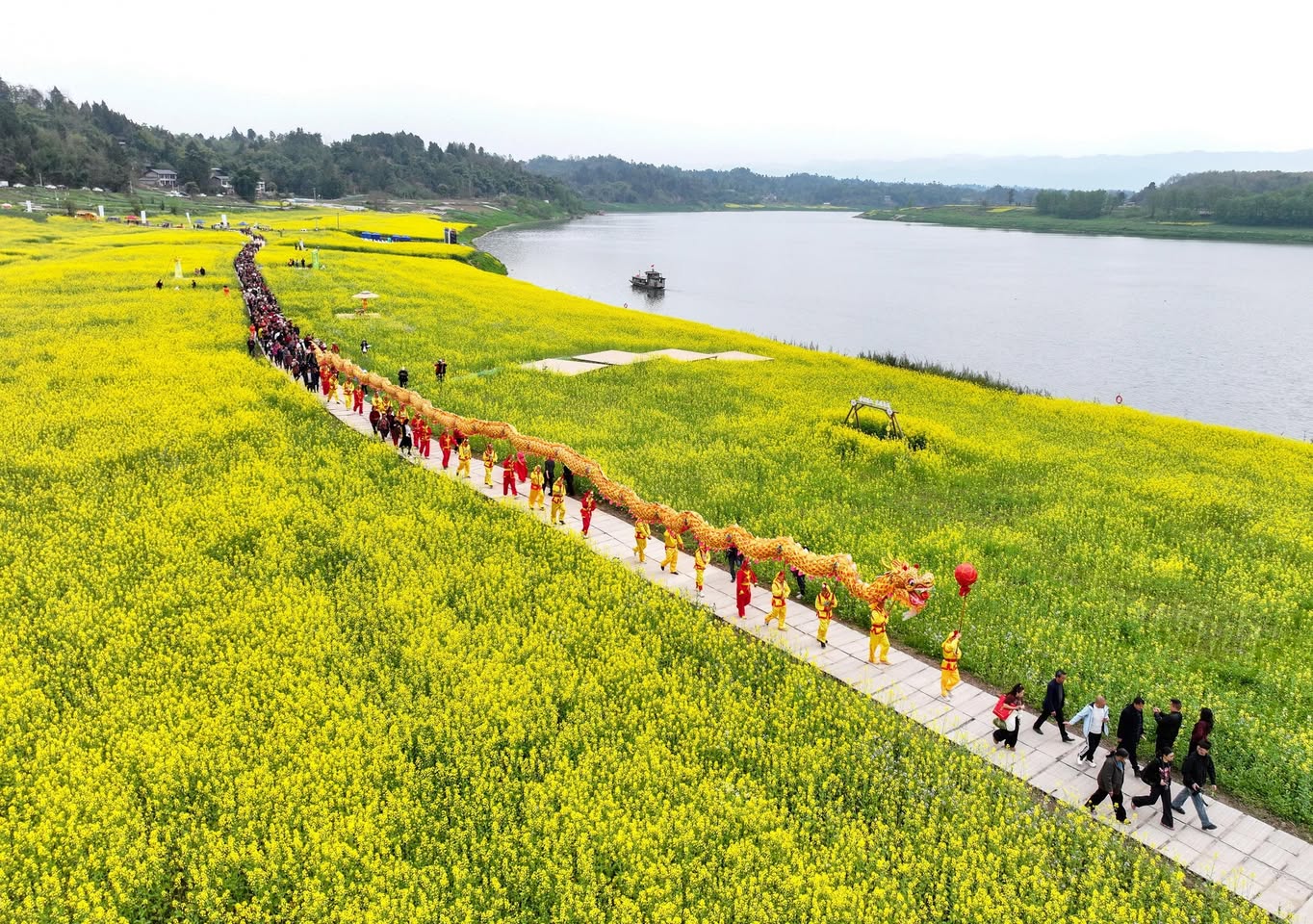 China Xinhua News Facebook ad: 春回大地,四川各地的油菜花次第盛开,人们纷纷走进田野,徜徉在金色花海中,感受春的气息。