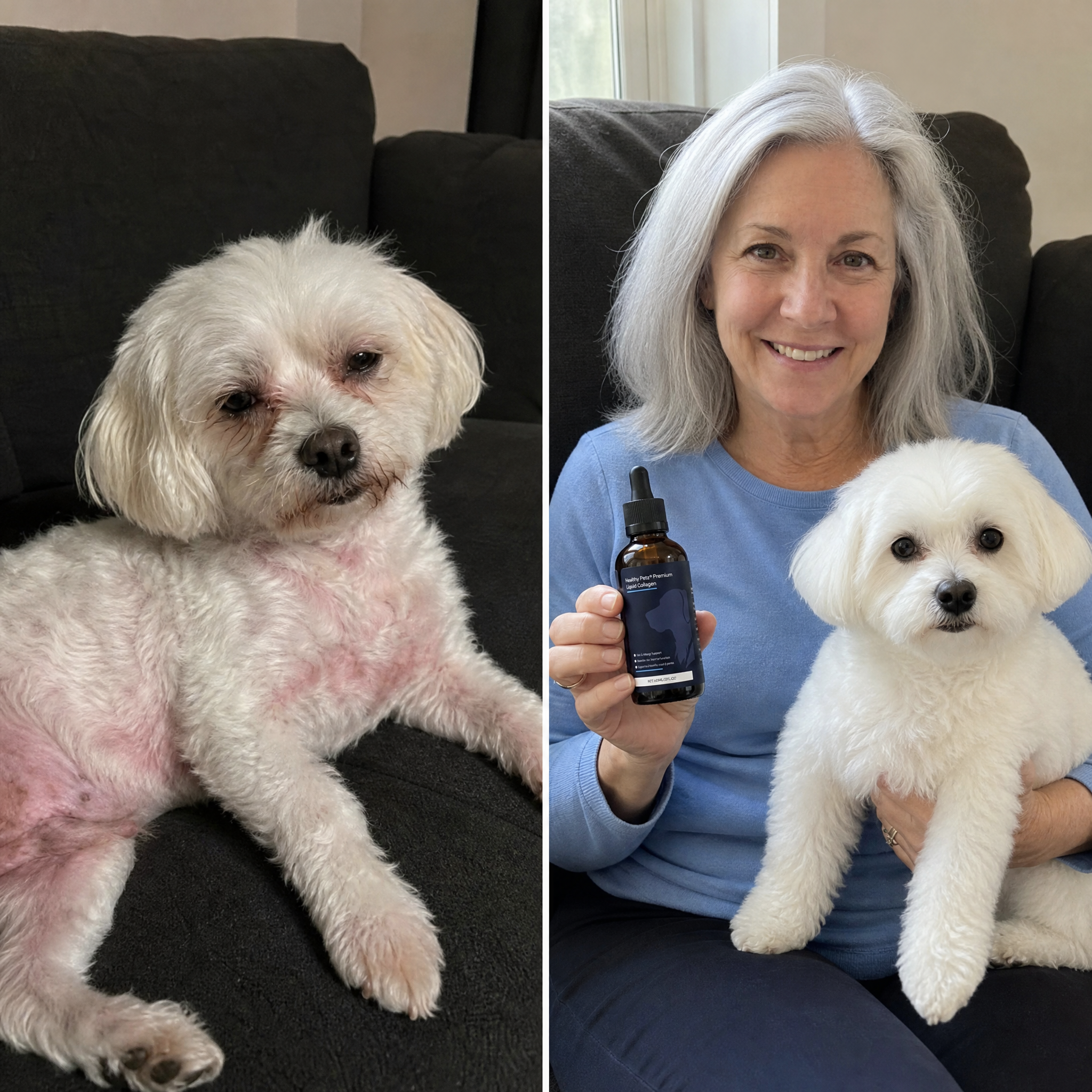 Dog Advice Community Facebook ad