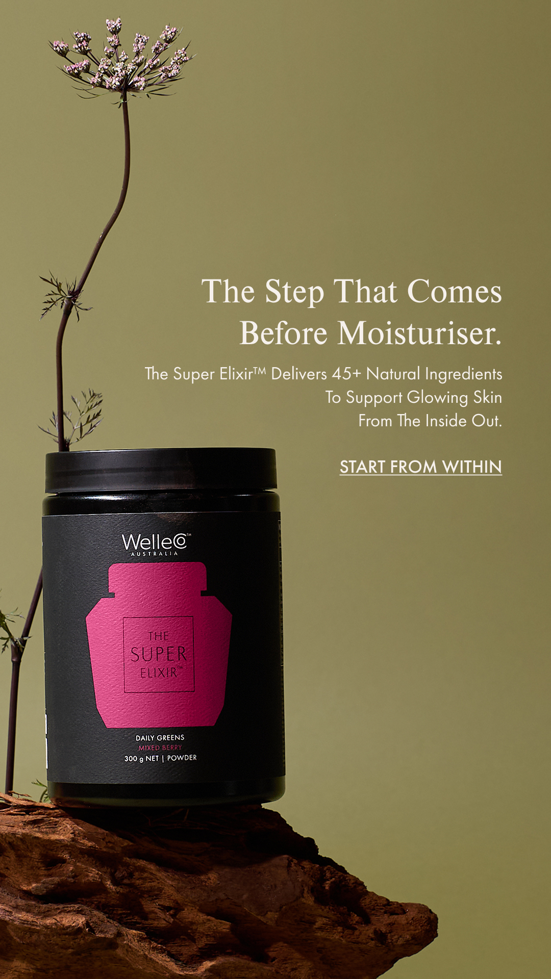 WelleCo Facebook ad