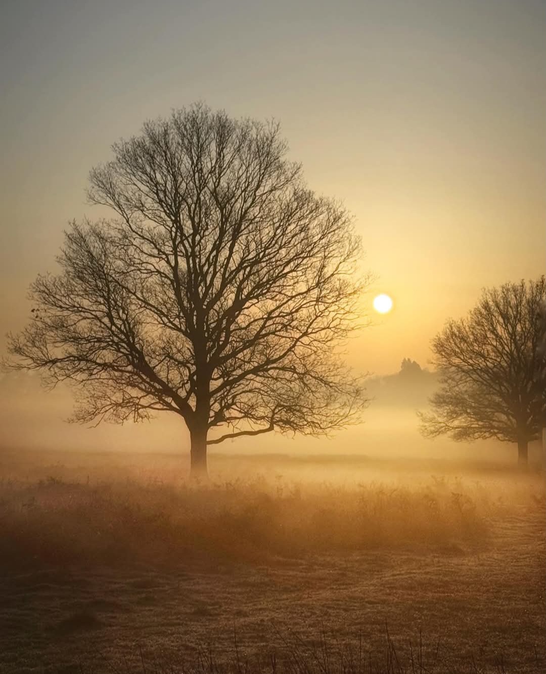 Scarborough Counselling and Psychotherapy Training Institute Facebook ad