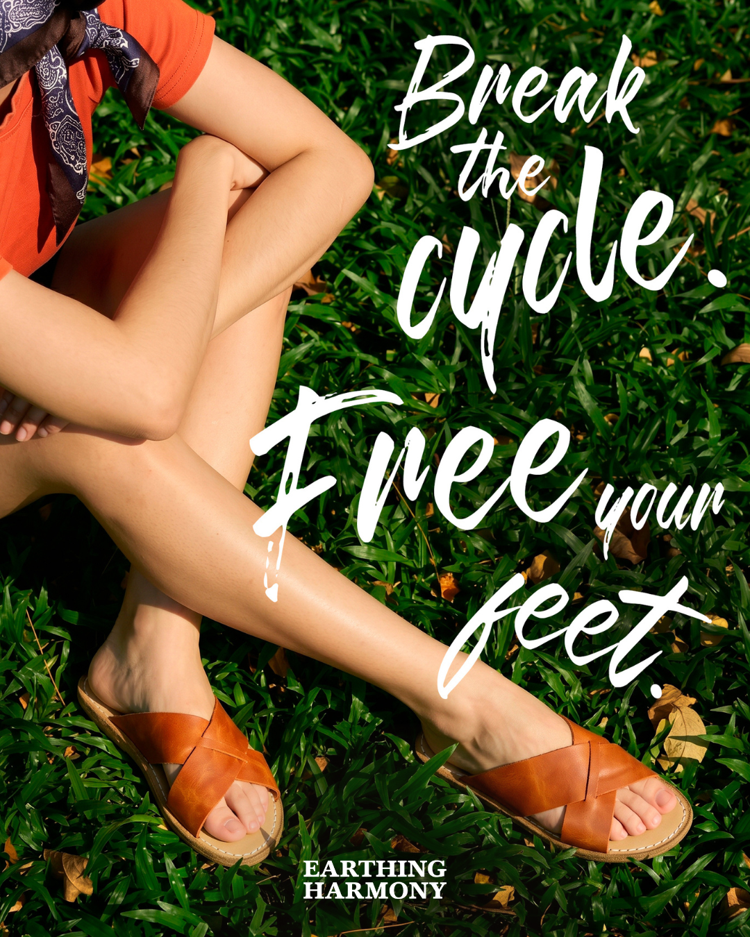 Earthing Harmony Facebook ad