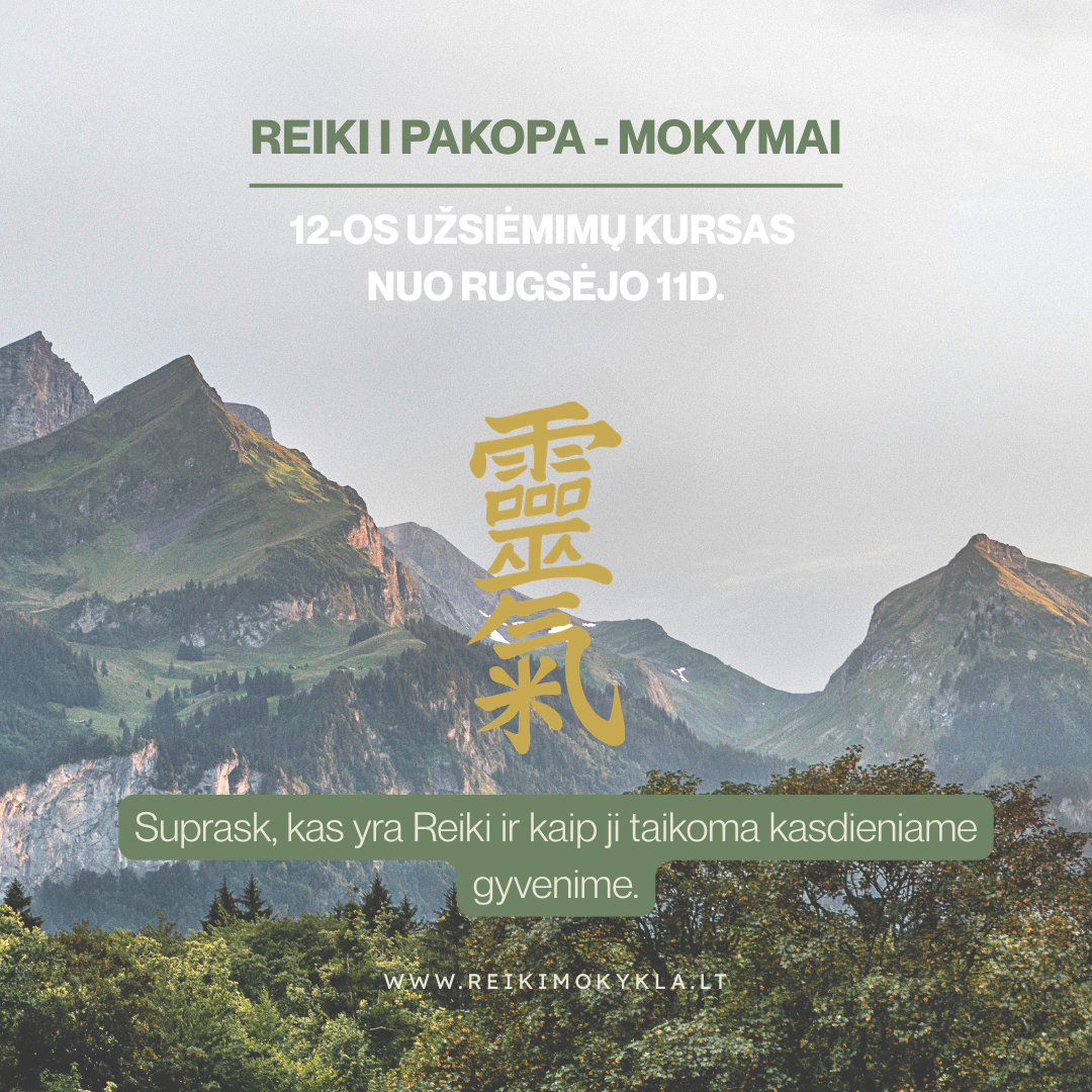Indiška Reiki mokykla Facebook ad