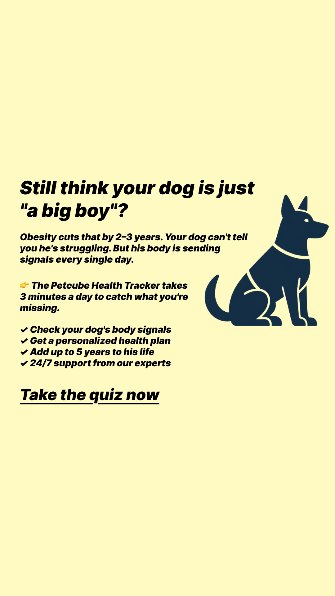 Petcube Facebook ad