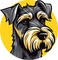 Schnauzer Style Hub