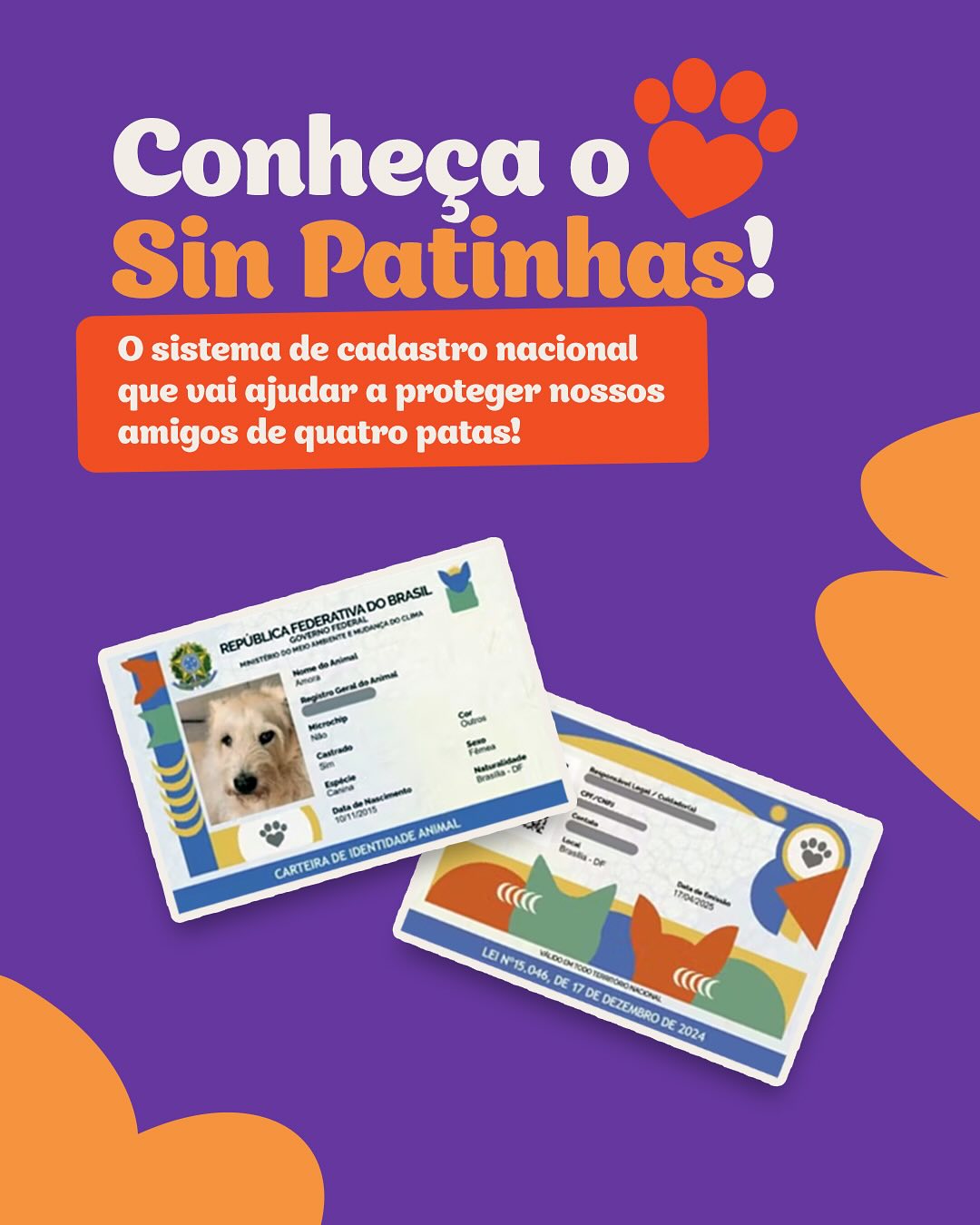 Doutor Pet Facebook ad: Você sabia que o SinPatinhas é uma ferramenta…