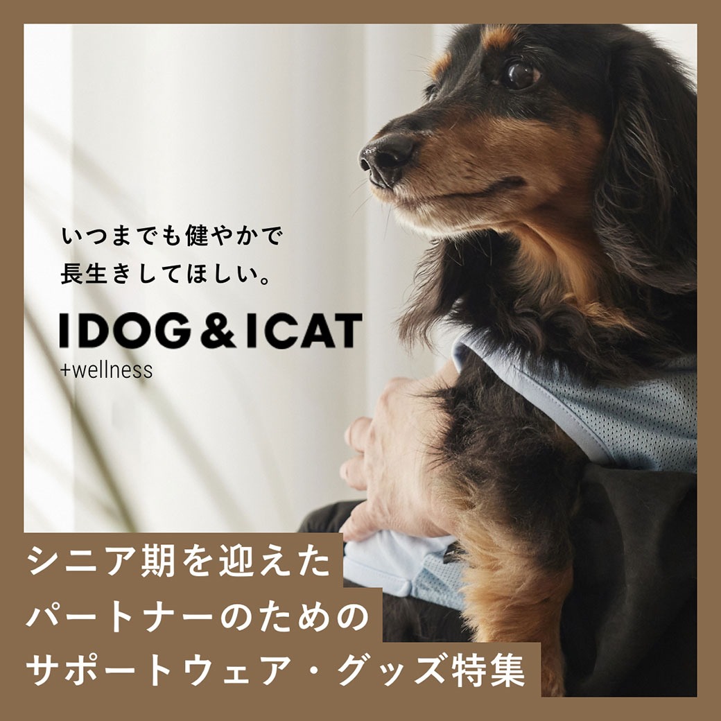 IDog＆iCat Facebook ad