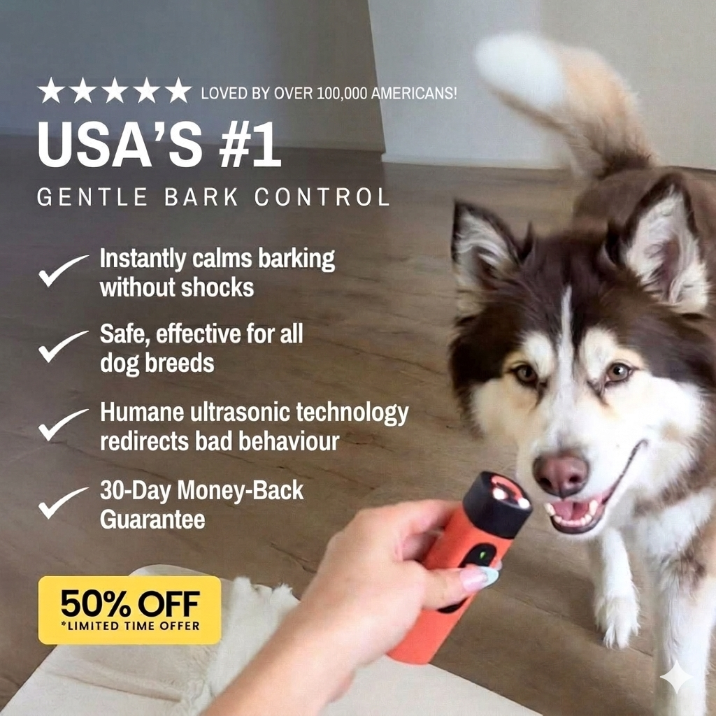 Hunters Doggy Daycare Facebook ad
