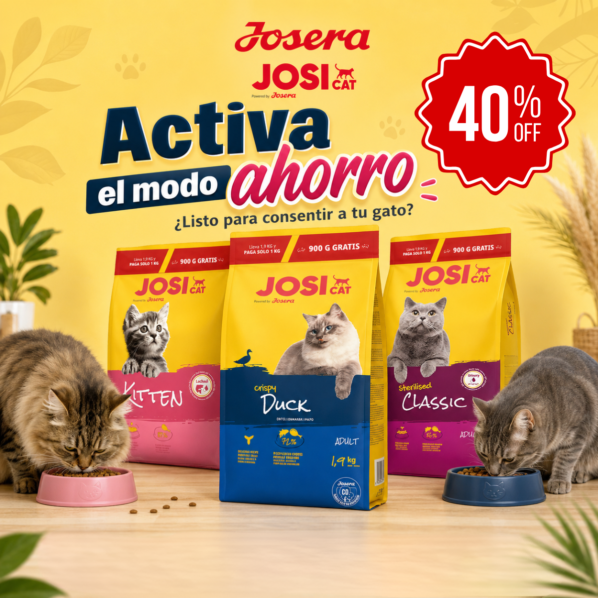 Felinus.cl Facebook ad