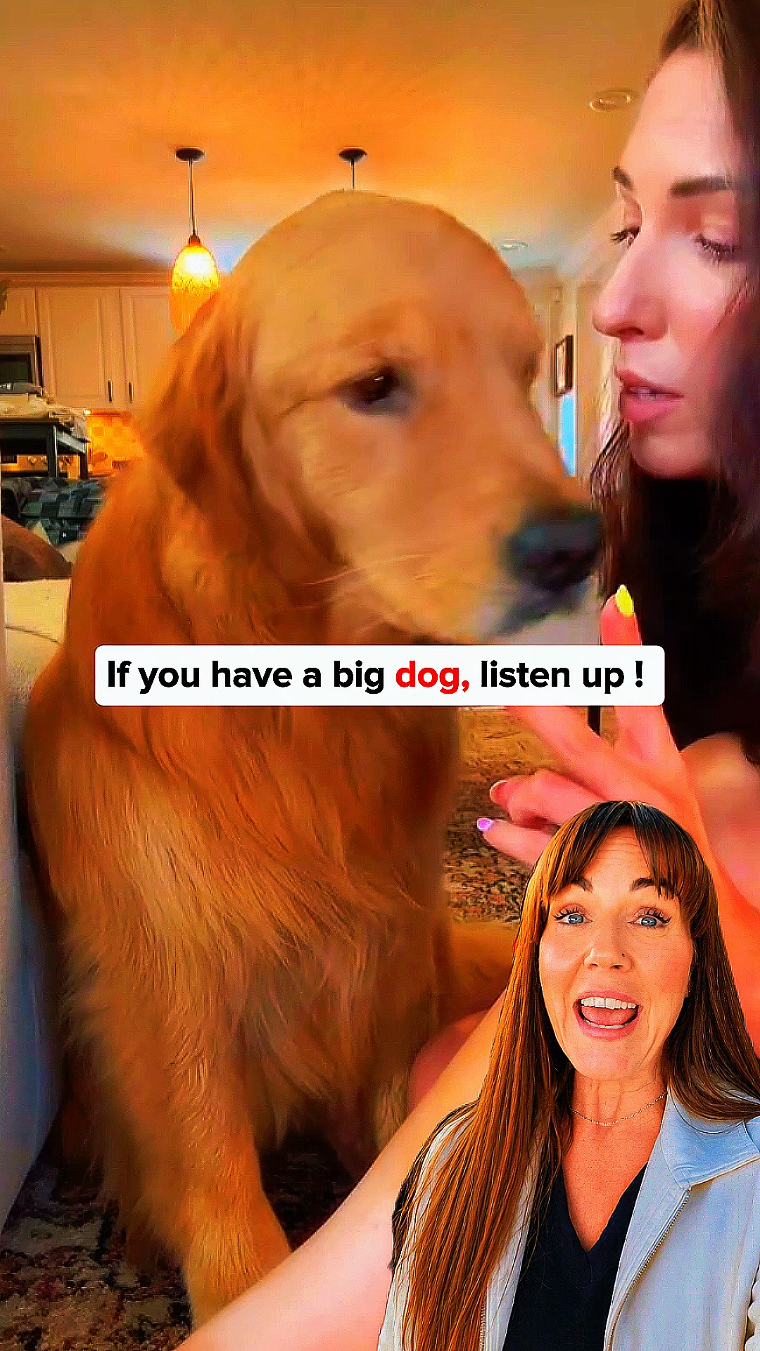 Pawpy Stuff Facebook ad: More Room for Your Dog