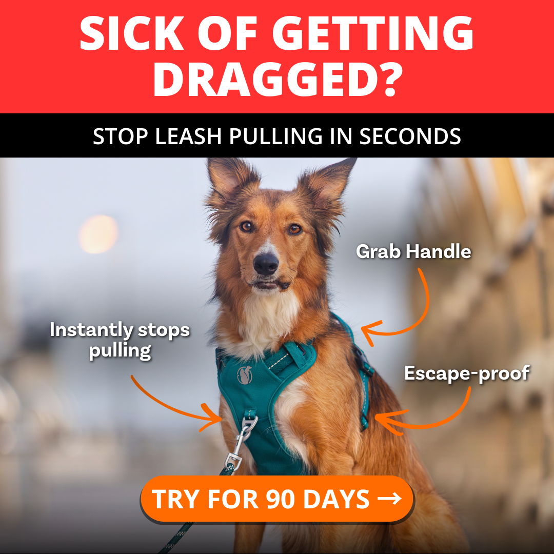 PawSafe Facebook ad