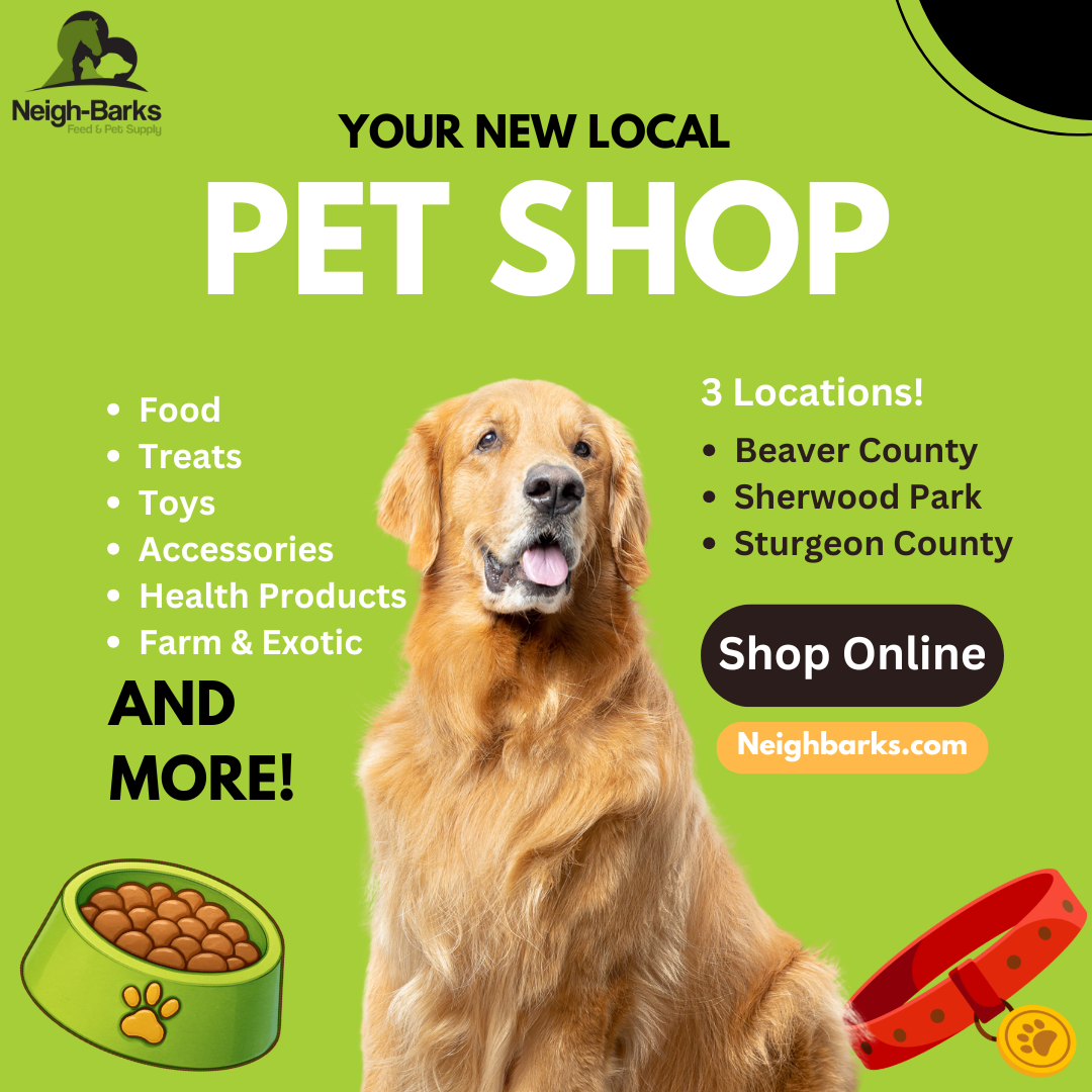 Neigh-Barks Beaver County Facebook ad from Feb 5, 2026