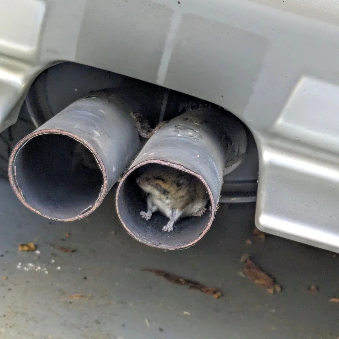 Tom Corwell Facebook ad: Read this if you’re RV owner