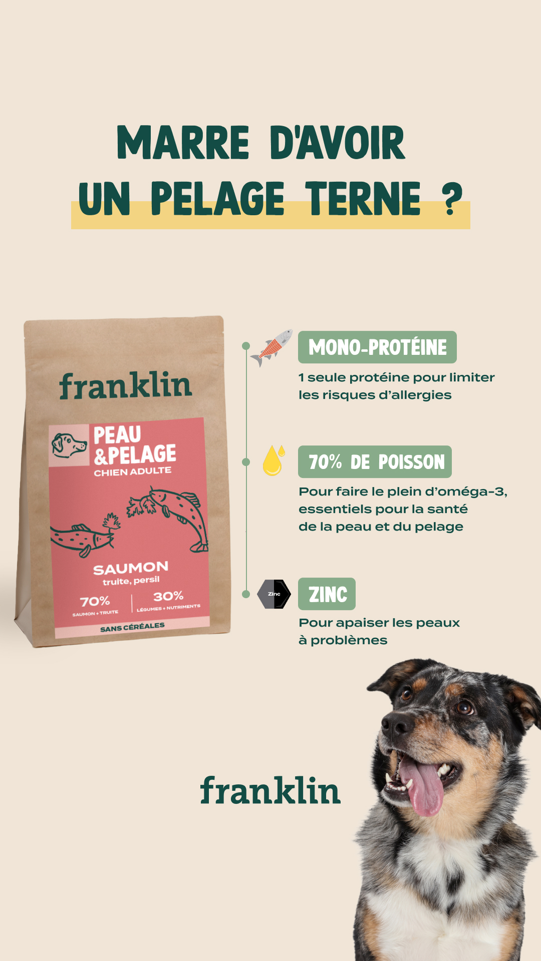 Franklin Pet Food Facebook ad