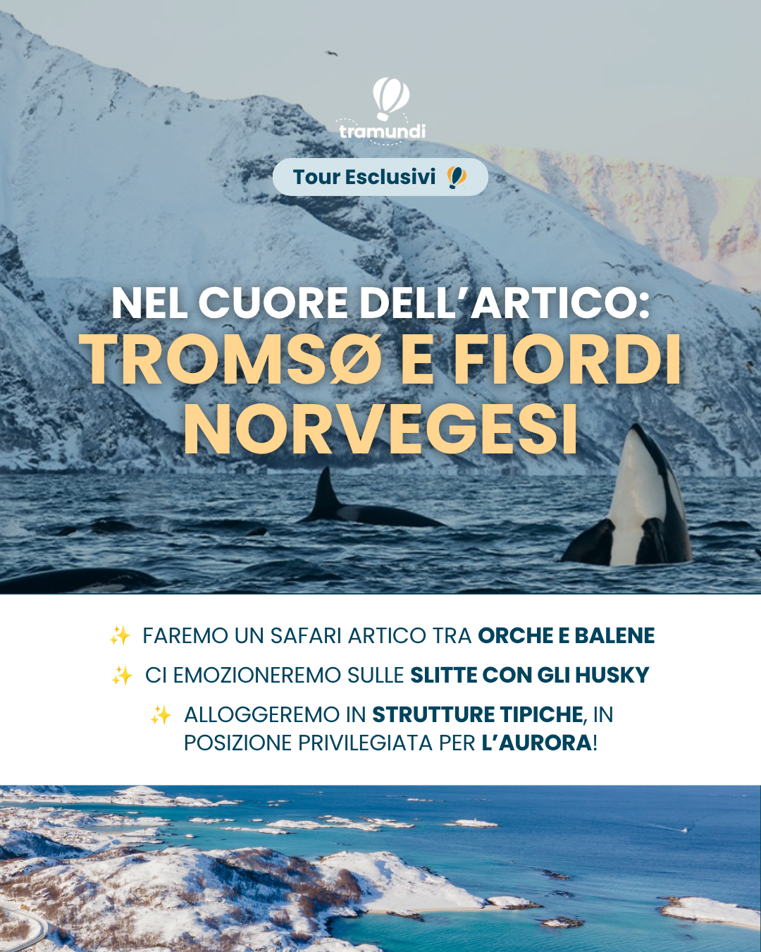 Tramundi Facebook ad