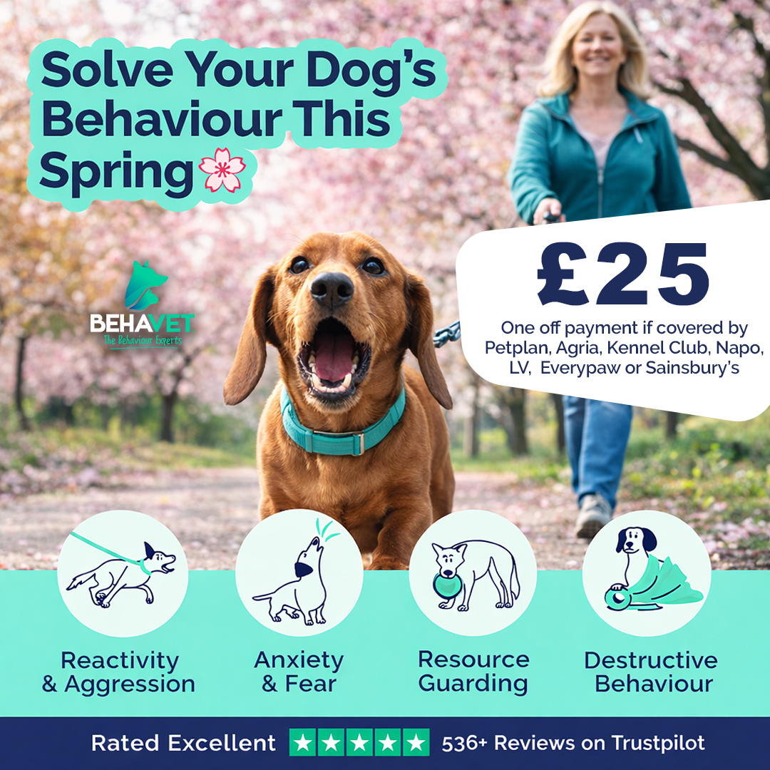 Behavet: The Pet Behaviour Experts Facebook ad
