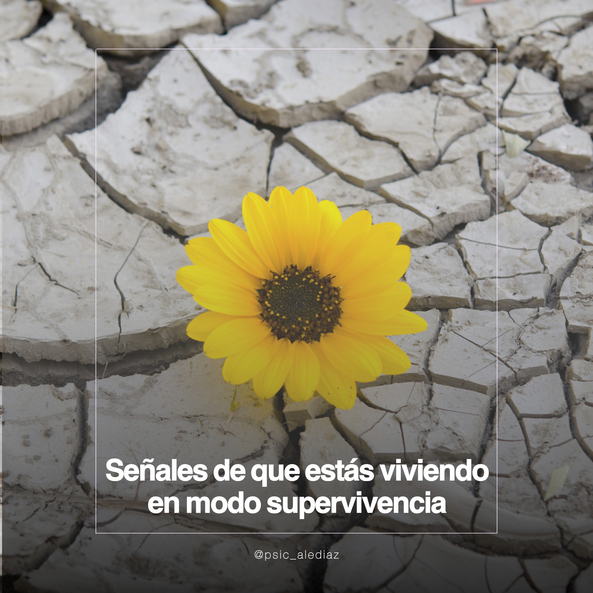 Psicóloga Alejandra Díaz Facebook ad: ¿Te has sentido agotado, desconectado o simplemente…