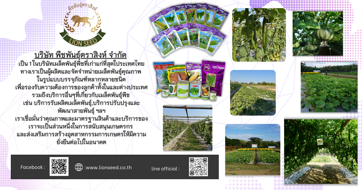 บริษัท พืชพันธุ์ตราสิงห์ จำกัด - Lion Seeds Facebook ad: พืชพันธ์ุตราสิงห์, เมล็ดพันธ์ุคุณภาพ สำหรับเกษตรกรไทย
