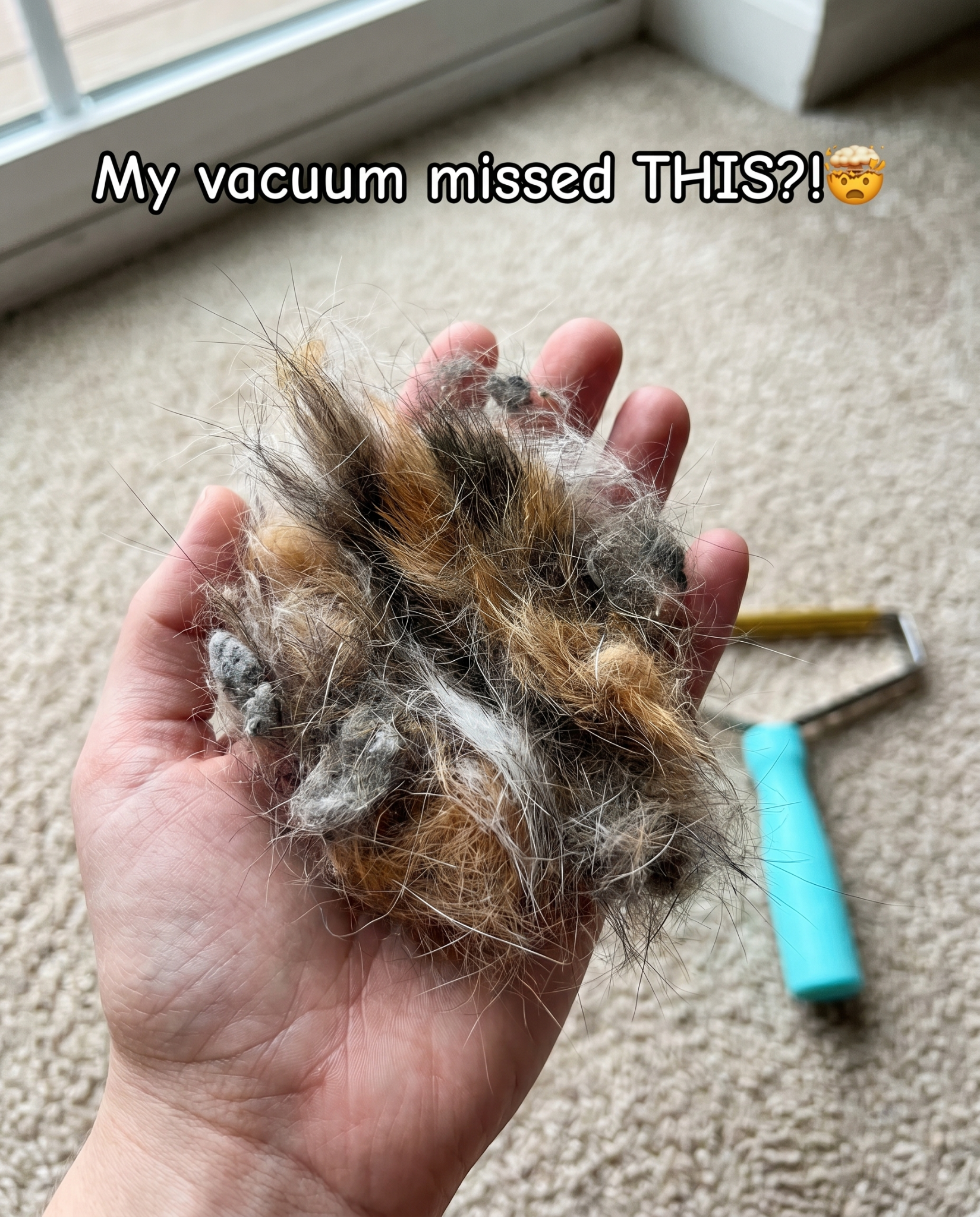 Cozee Clean Facebook ad: The #1 Pet Hair/Lint/Dust Cleaner