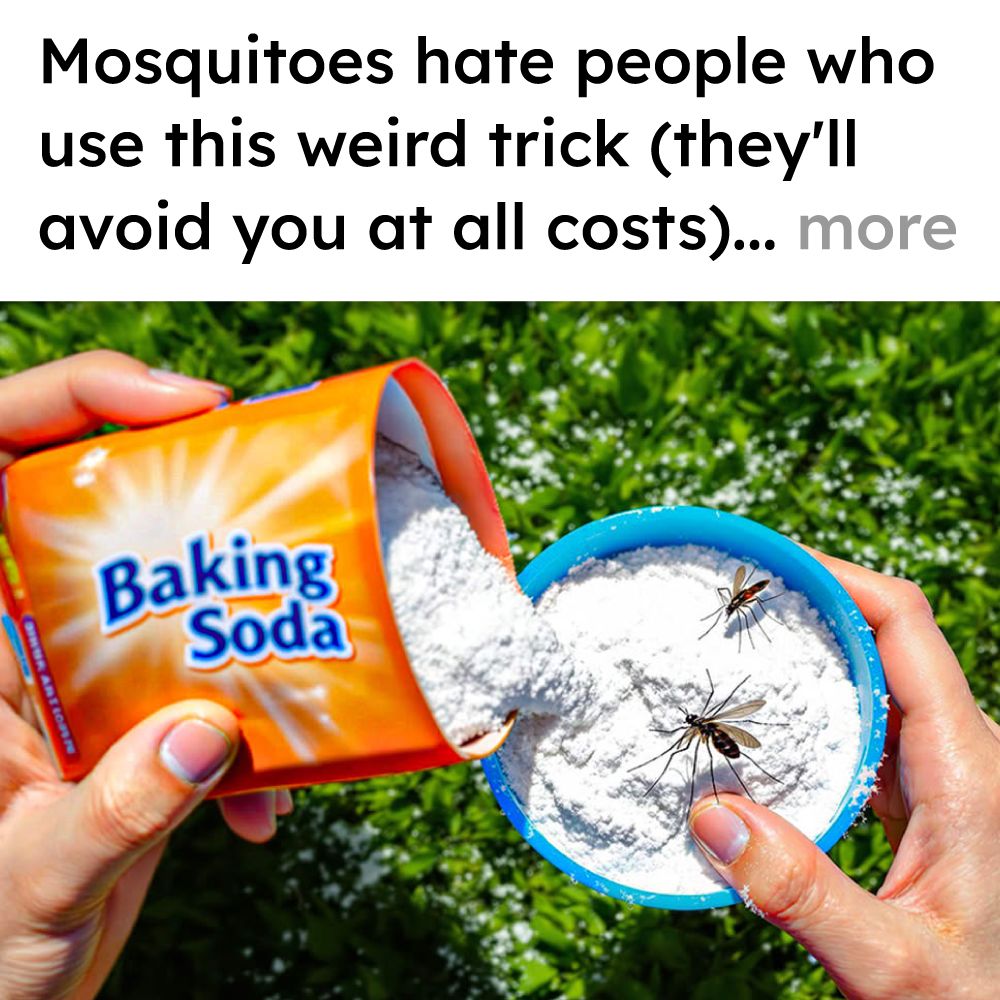 Mosquito Secrets Facebook ad