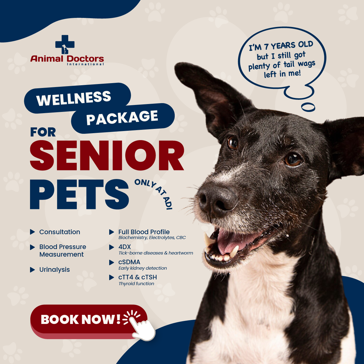 Animal Doctors International - Cambodia Facebook ad: Keep your SENIOR PET Healthy today