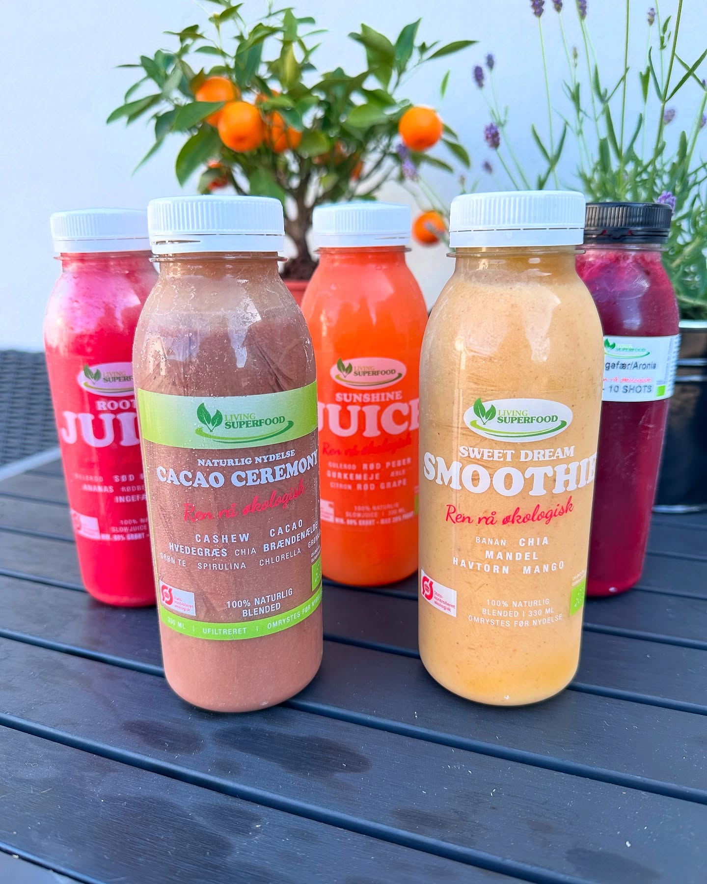 living-superfood.dk Facebook ad