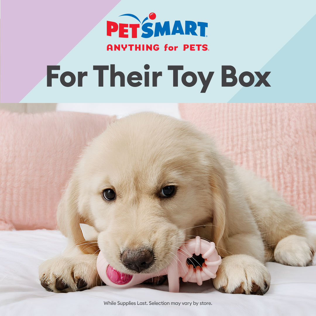 PetSmart Facebook ad