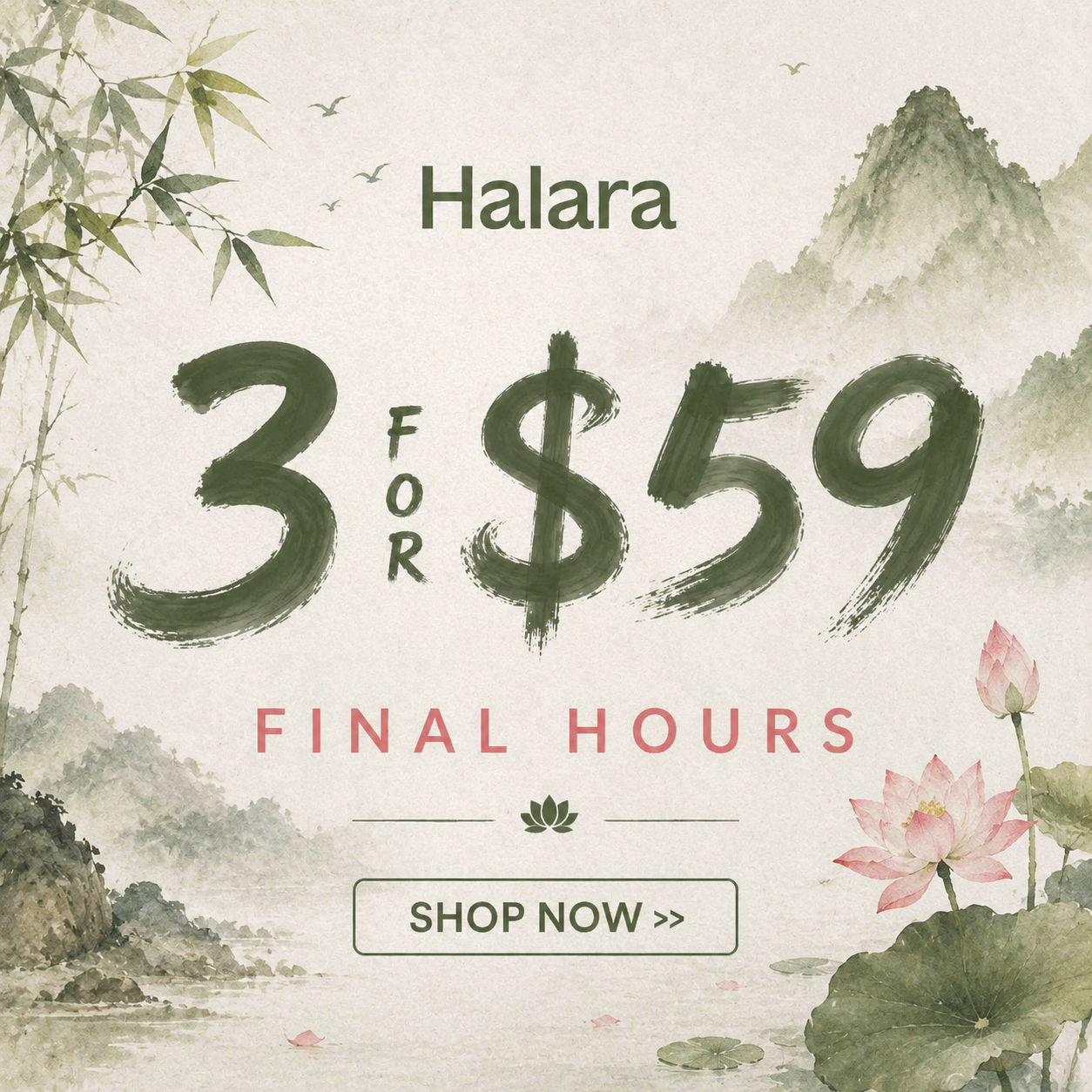 halara Lifestyle Facebook ad