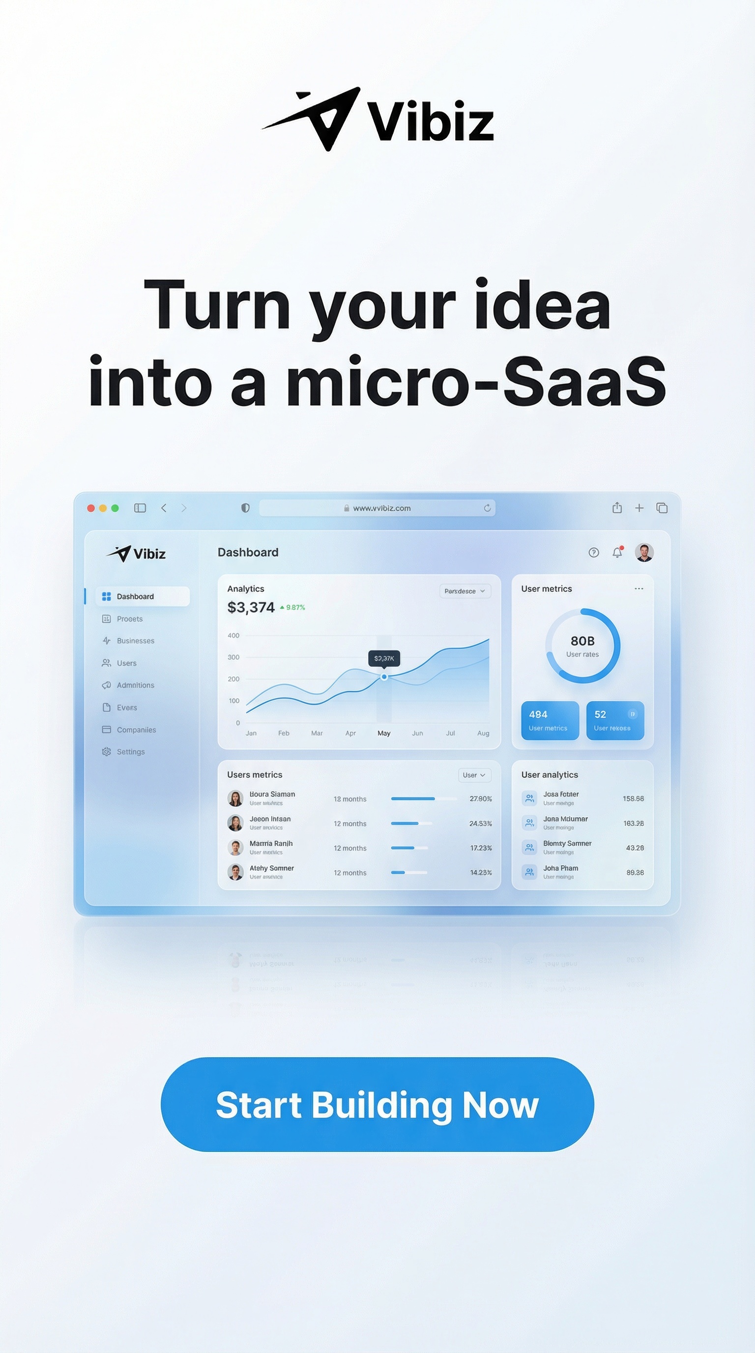 Vibiz Facebook ad