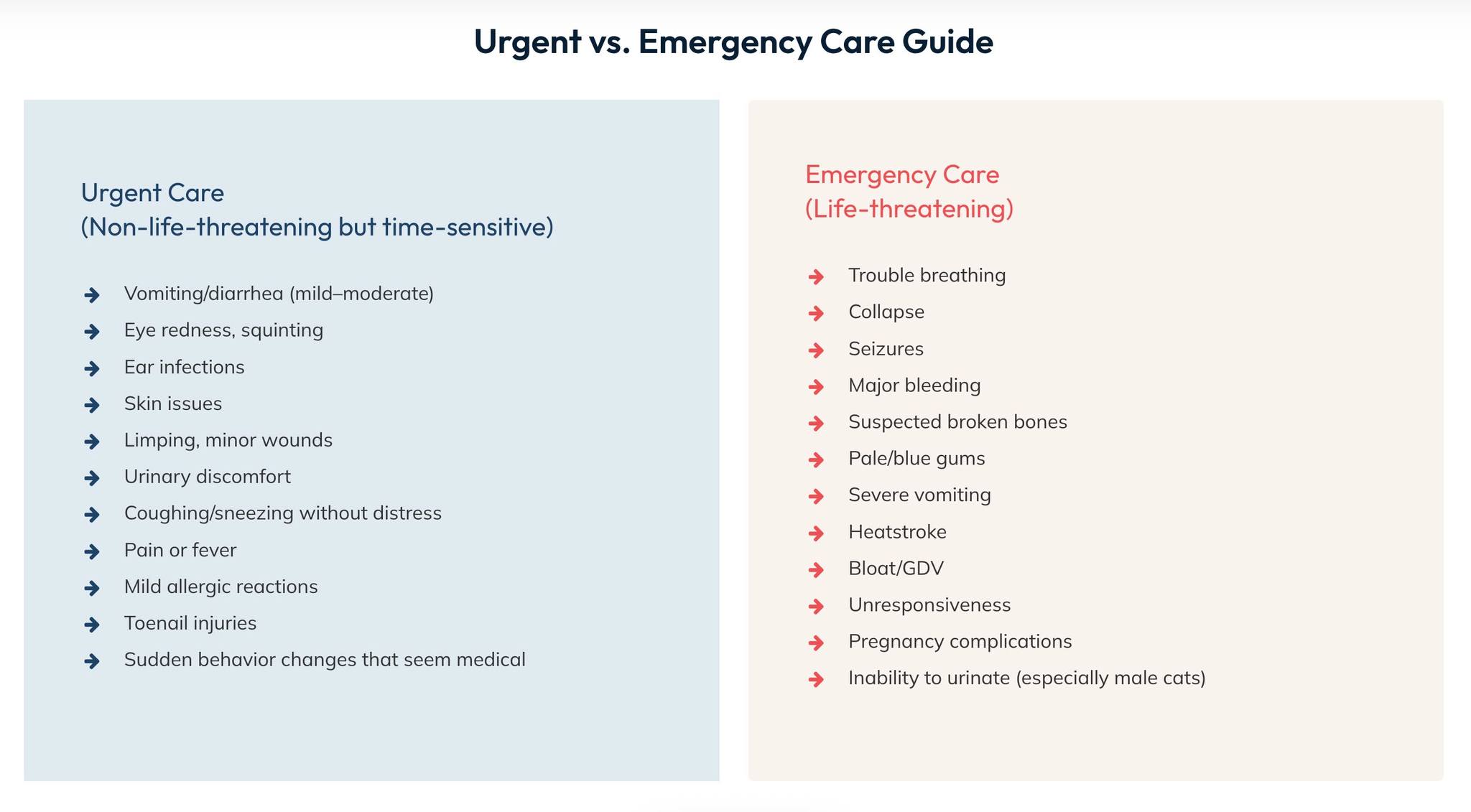 VivaVets Animal Hospital Facebook ad: Urgent Care & Comprehensive Life-Stage Veterinary Medicine