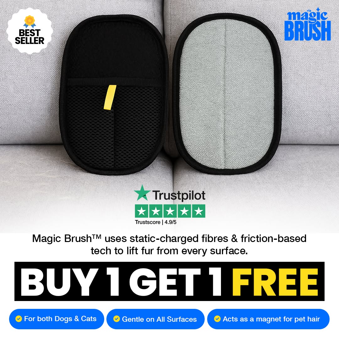Magic Brush Co Facebook ad