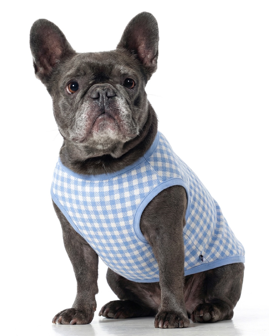 Pet Passion Facebook ad