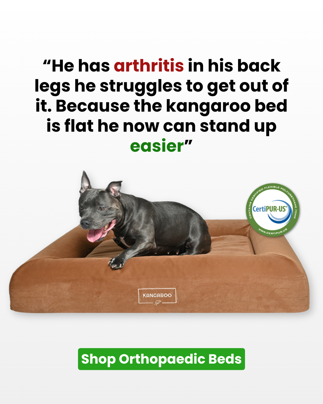 Kangaroo Bed Facebook ad