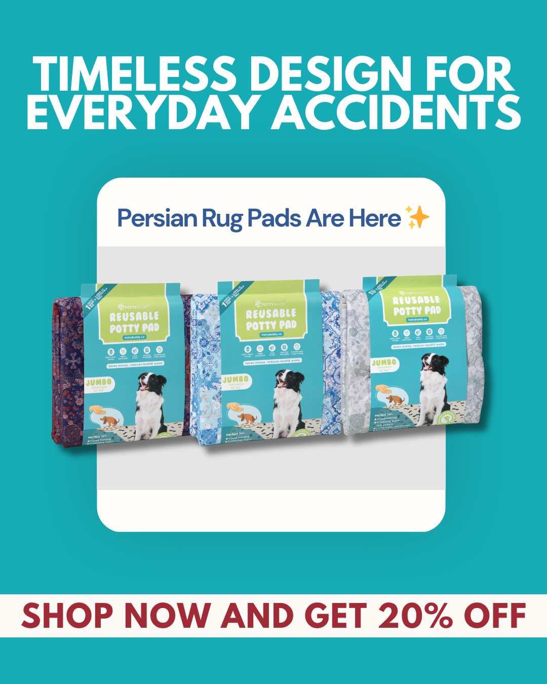 Potty Buddy Facebook ad