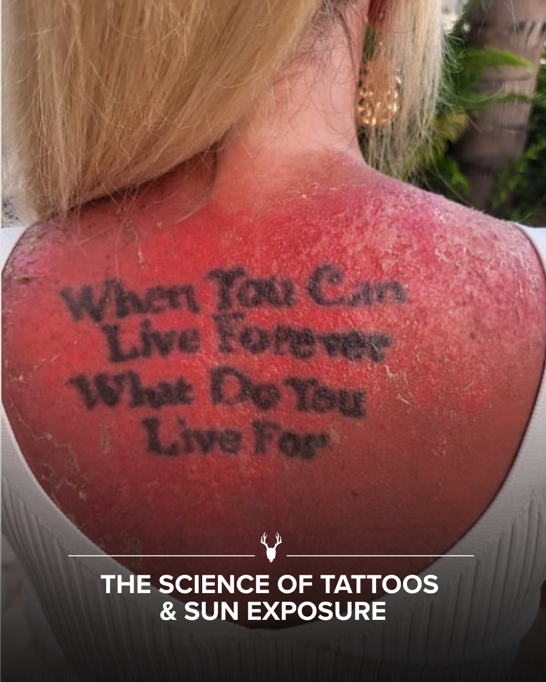 Mad Rabbit Tattoo Facebook ad