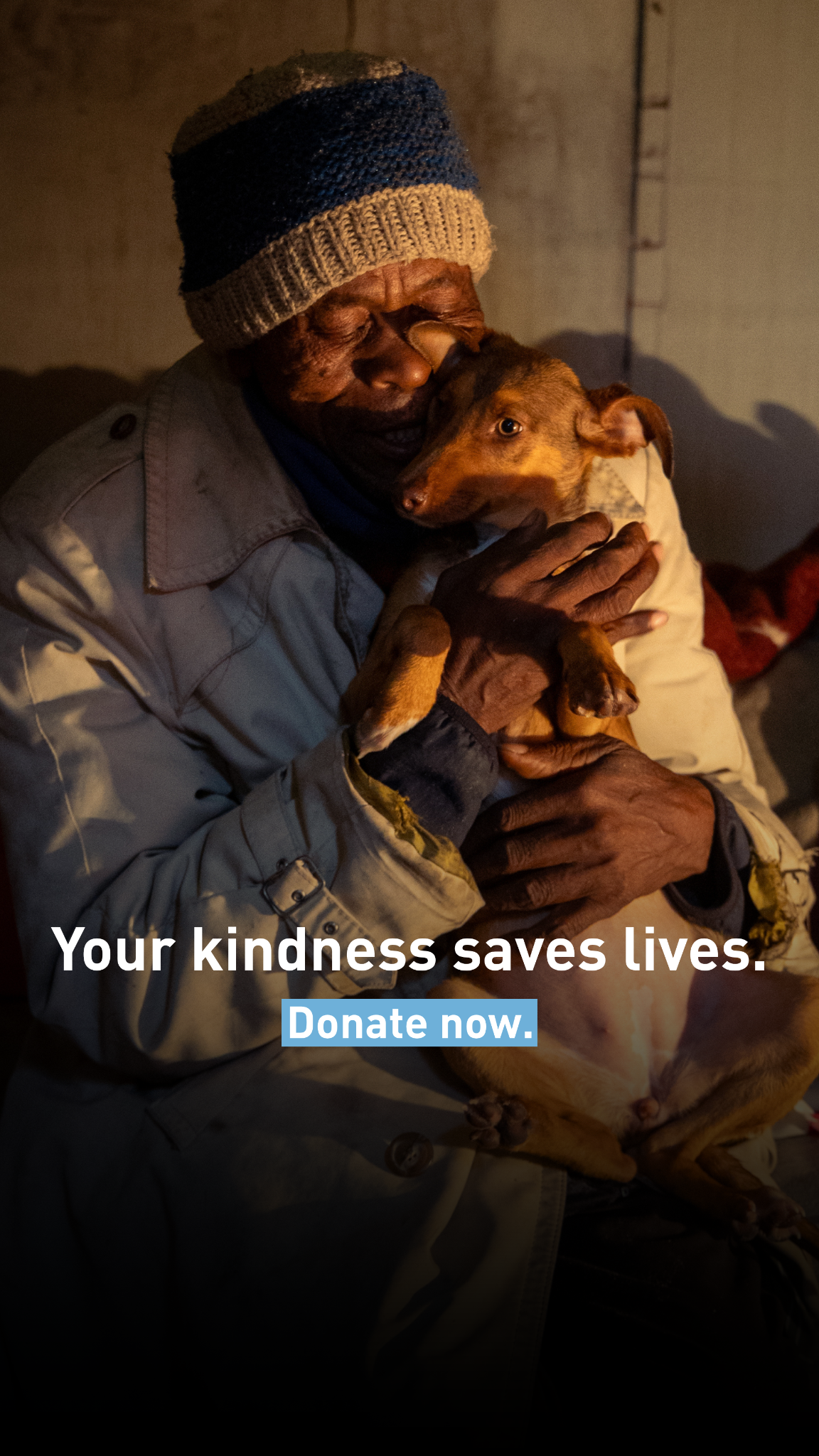 FOUR PAWS Facebook ad from Jun 22, 2026