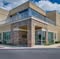 The Art of Dentistry, Brian D Fann, DDS