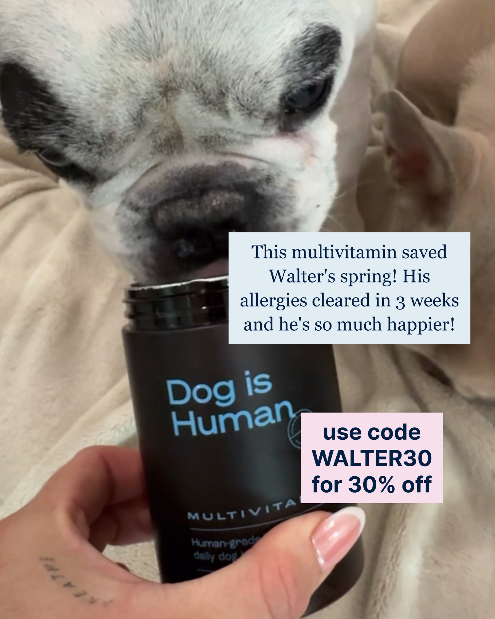 Dog is Human Facebook ad