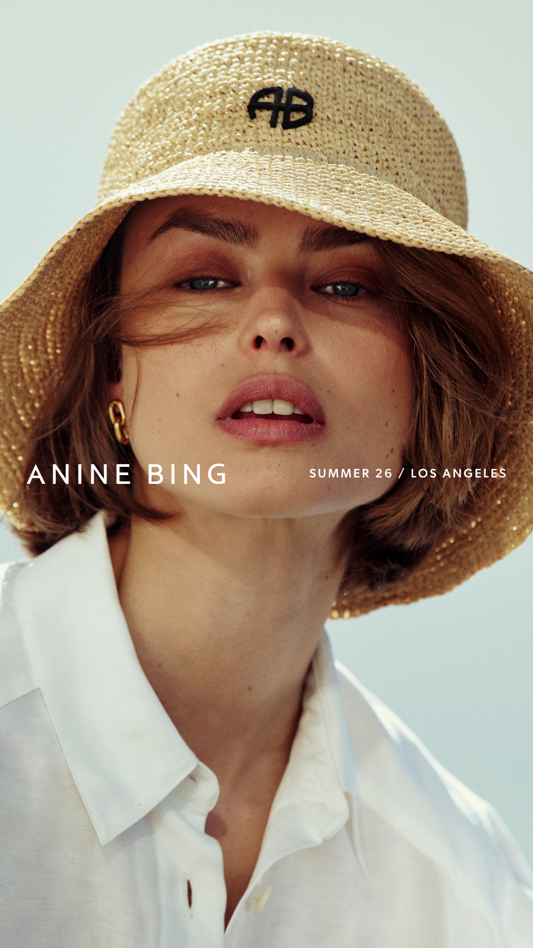 ANINE BING Facebook ad