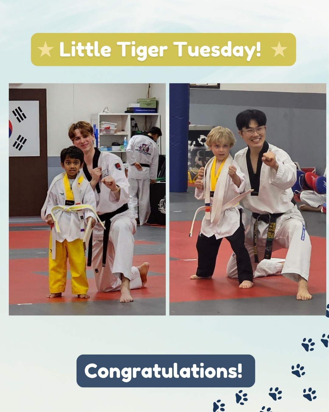 White Tiger Taekwondo Allen Facebook ad
