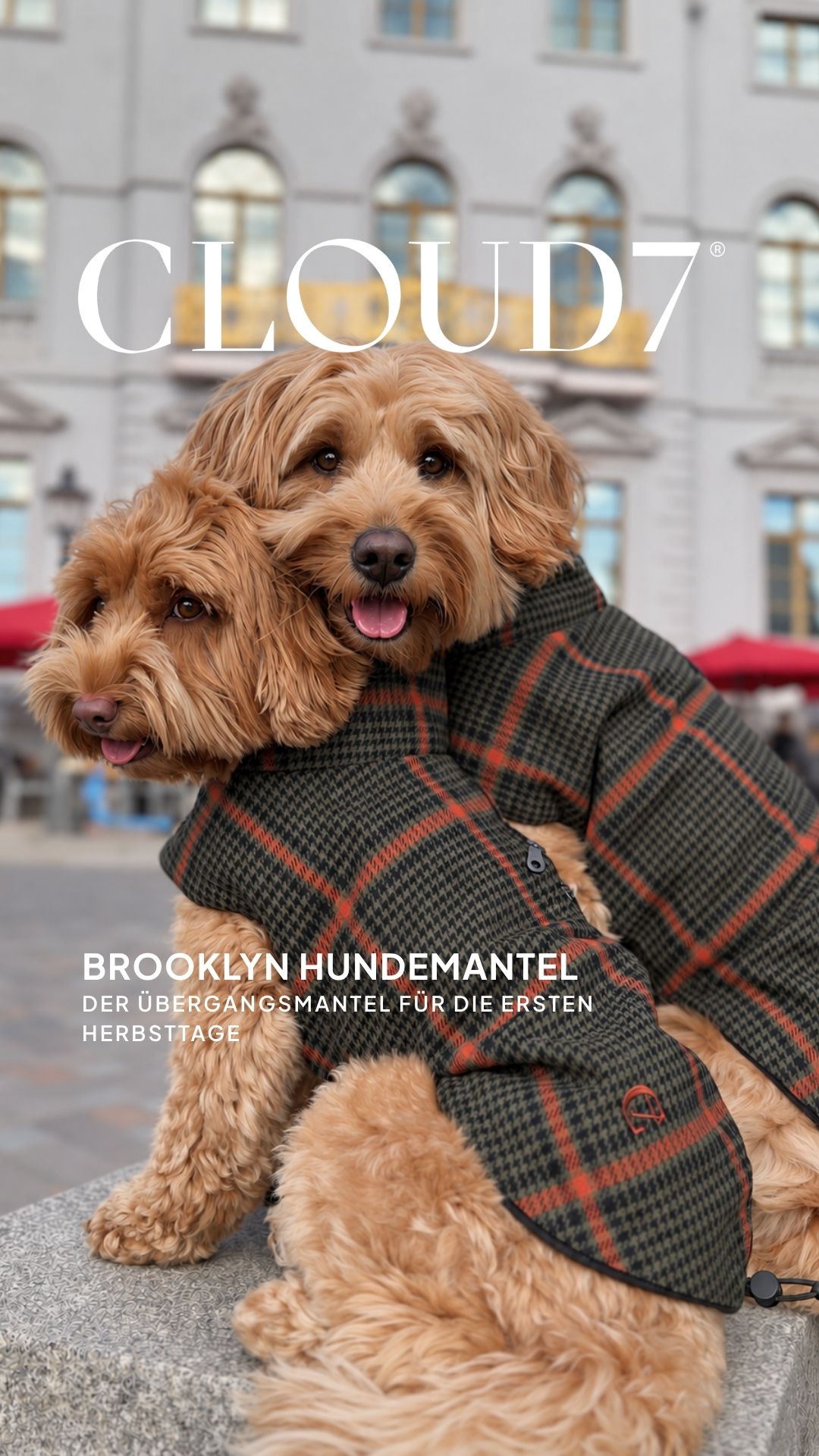 Cloud7 Facebook ad: Wetterfest für jeden Hund
